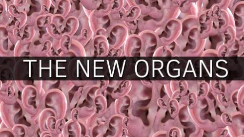 Pisté sur le Net? Racontez votre histoire